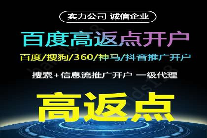 某企业通过SEO和SEM双管齐下实现业绩飞跃的案例